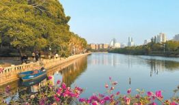 美丽风景短视频,短视频中的绝美风景集锦